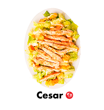 Wild Roster Comida Wild Roster Inicio